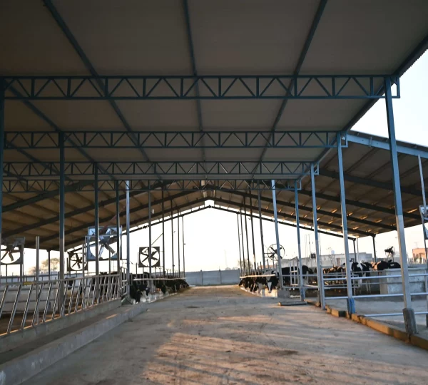 Our Farm